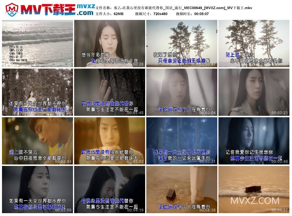 张乙-在我心里没有谁能代替你_国语_流行_MEC00649